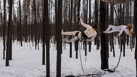 Their Mistress Is A Huntress