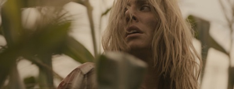 There's Something In The Water