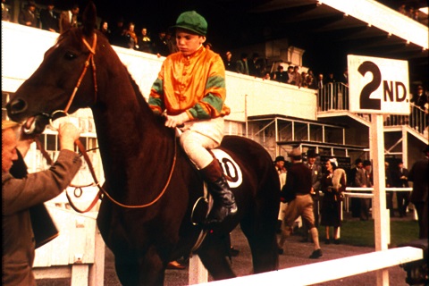 Don't Bet Your Shirt On It