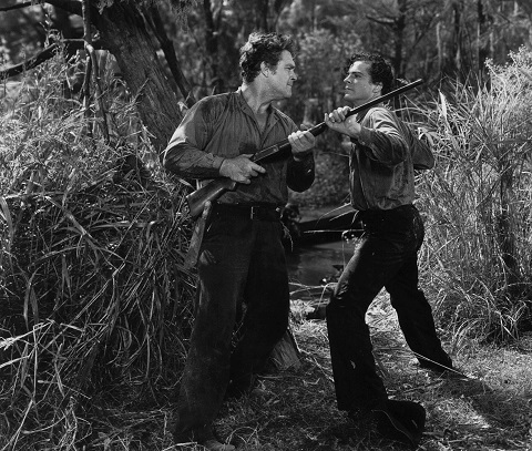 Fugitive Among The Flora