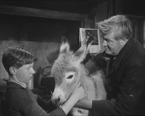 Thou Shalt Not Covet Thy Neighbour's Ass