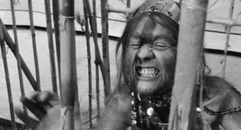 Does She Use Harmony Hairspray?