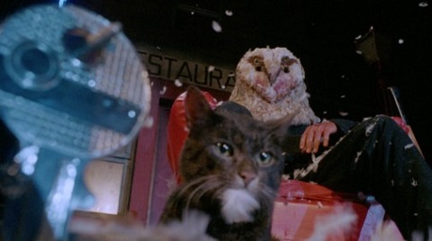 Dancing To Their Graves!