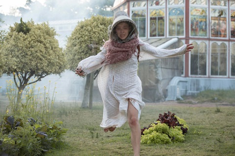 The Greenhouse Effect