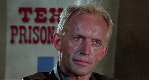 Lawless And Loveless