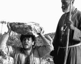 A Rock And A Hard Place