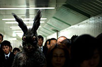 Welcome to the Darkland