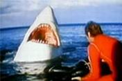 Jaws rip-off lacks bite