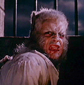 He was known as the Wild One