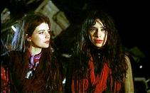 Misery Loves Company