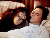 King Of The Comedy Swingers