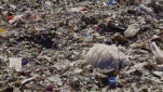 An average guy makes a resolution to stop using plastic bags