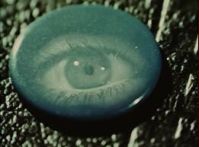 But I Know What I Like