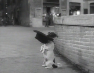 The One With The Waggly Tale