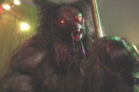 Let the fur fly behind bars