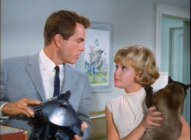 Feline Bureau Of Investigation