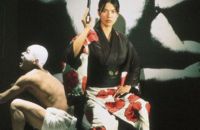 Stray Cat Shoots Sharp