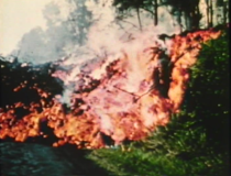 Remember The End Times?