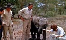 Big John goes big game hunting