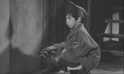 It's The Little Orphan Boy