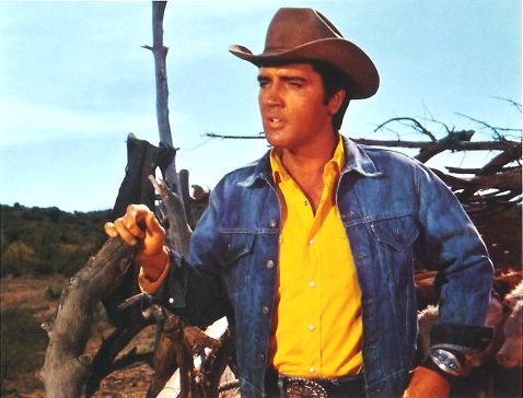 That's A Lot Of Bull