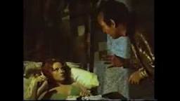 One Woman for Seven Bastards