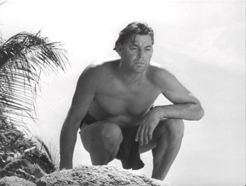 Not Actual Mermaids, Though