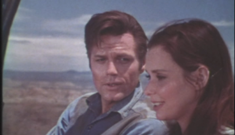 The Bear And The Three Goldilocks