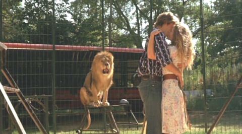 Spats Among The Cats