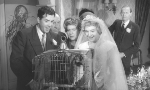 Funnier Than Ricky Gervais