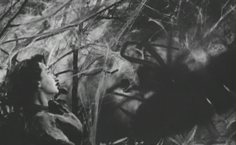 Laughing In The Face Of Science