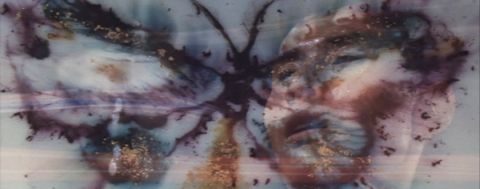 Shoo Fly, Don't Bother Me