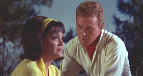 And Gershwin Meets Herman's Hermits