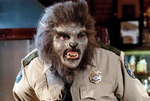 Picked Up By The Fuzz