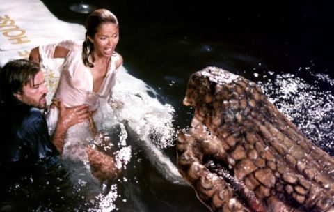 Actually A Rubbish Alligator