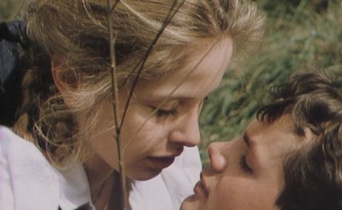 That's The Genital Idea