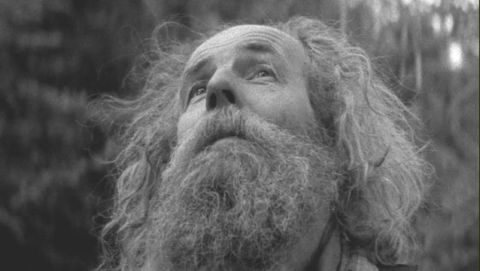 If You Go Down To The Woods Today...