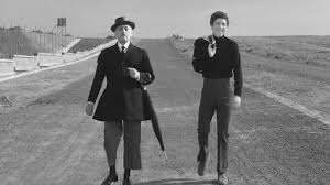 Feather-brained philosophy