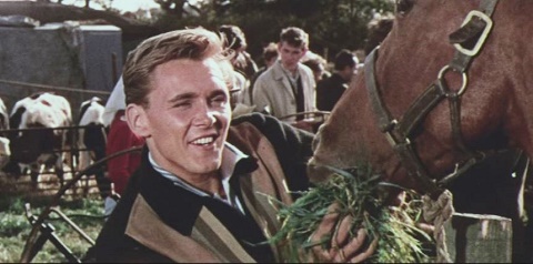 One Day When Billy And The Animals Were Sitting On Top Of The Hill...